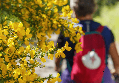 Jornada Peregrina en Castilblanco de los Arroyos 2026
