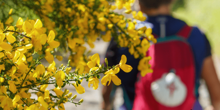 Jornada Peregrina en Castilblanco de los Arroyos 2026
